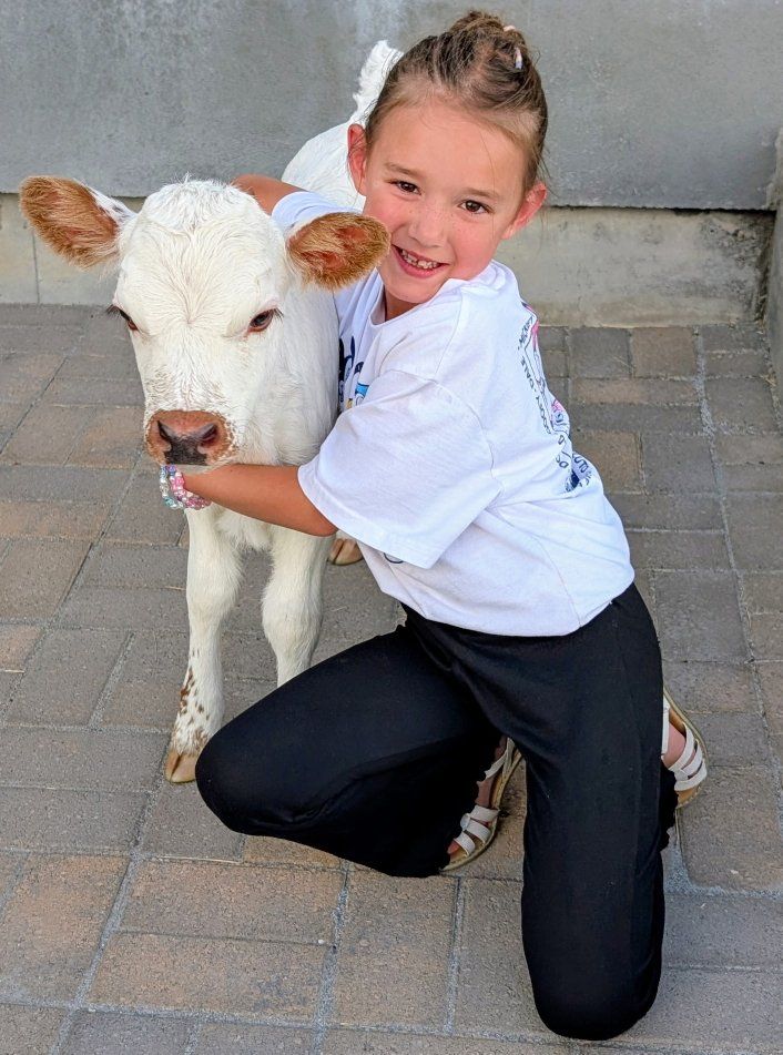 Perfect Homestead Cows!!