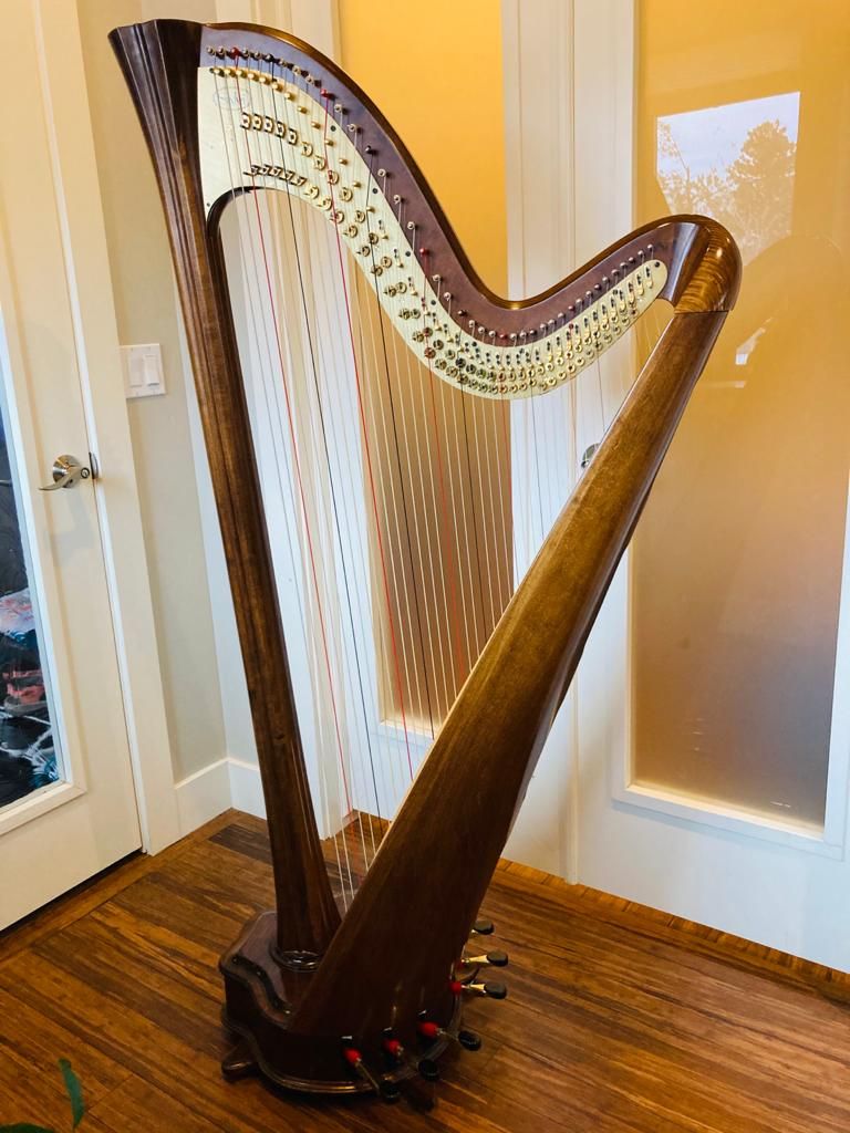 Salvi Daphne 40 Pedal Harp - $10,500 OBO
