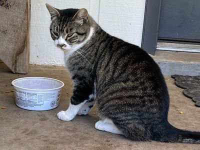 Need to rehome