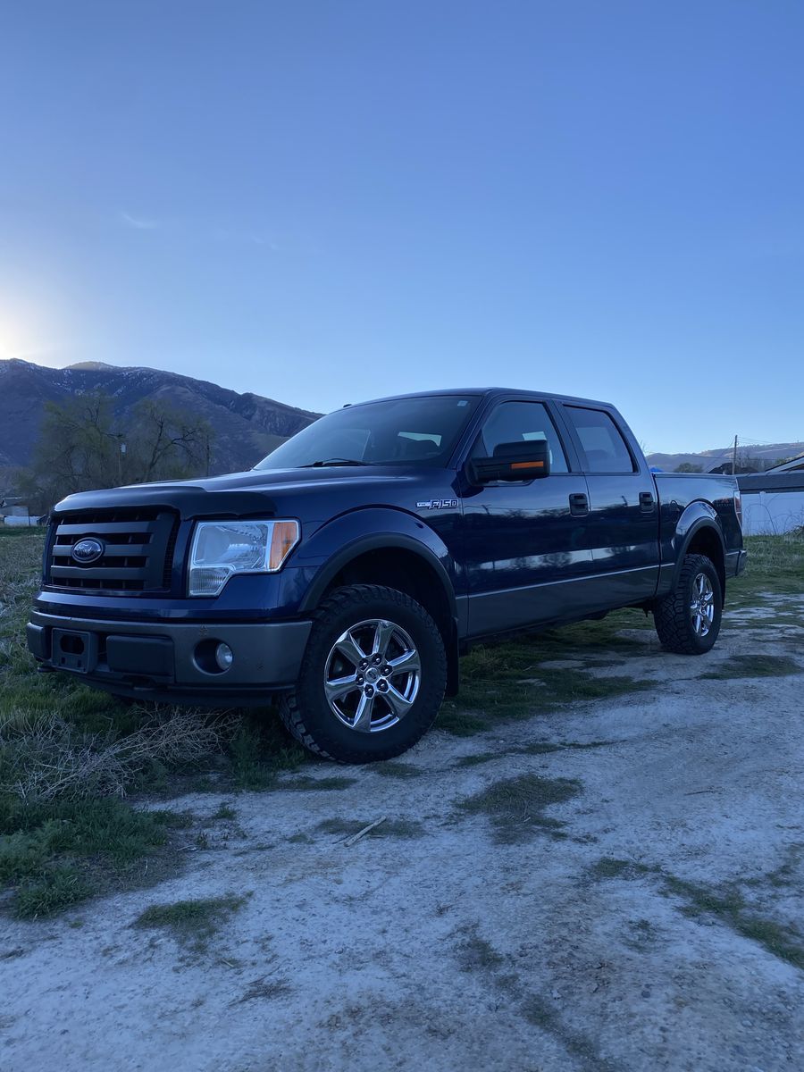 2009 FORD F150 FX4