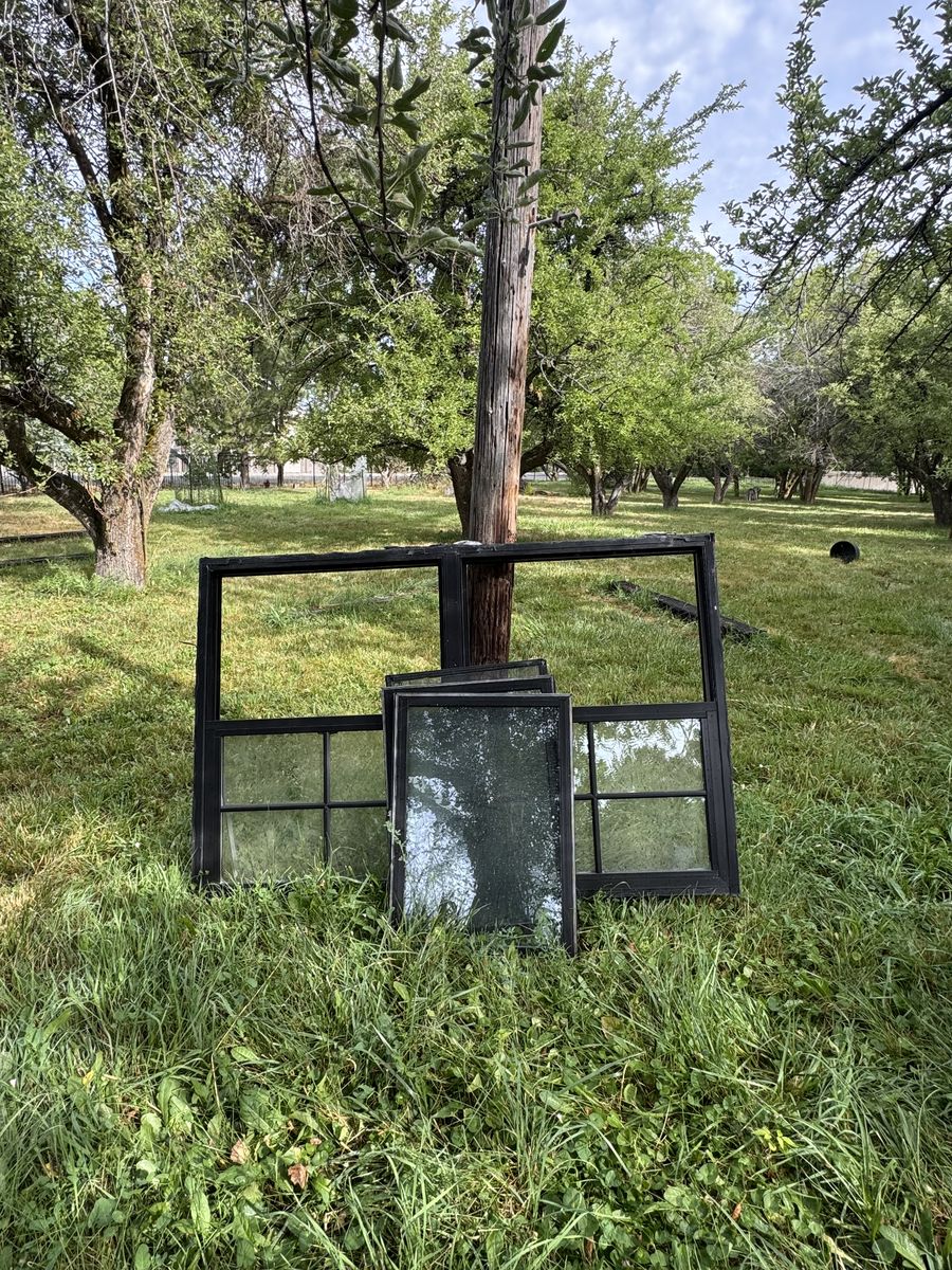 Large black on black Anderson window