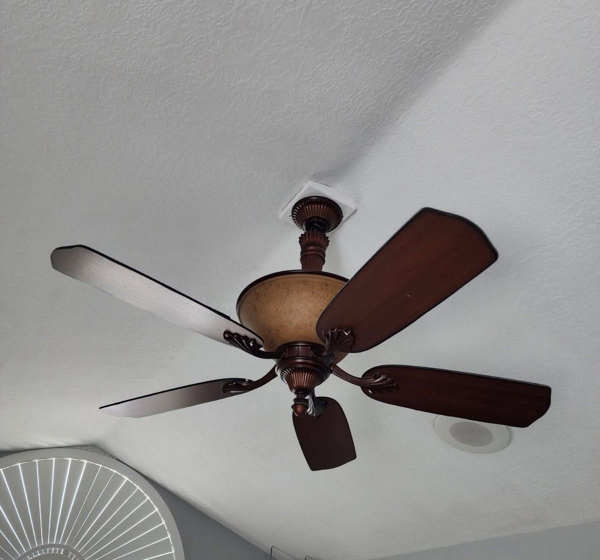 Ceiling fan