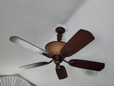 Ceiling fan