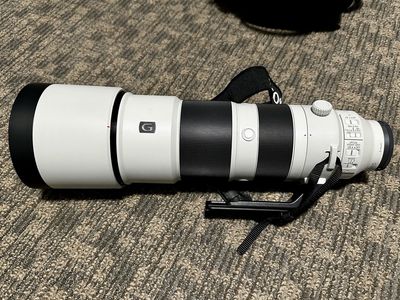 Sony FE 200-600mm F5.6-6.3 G OSS Super Telephoto Zoom Lens for Sony E-mount
