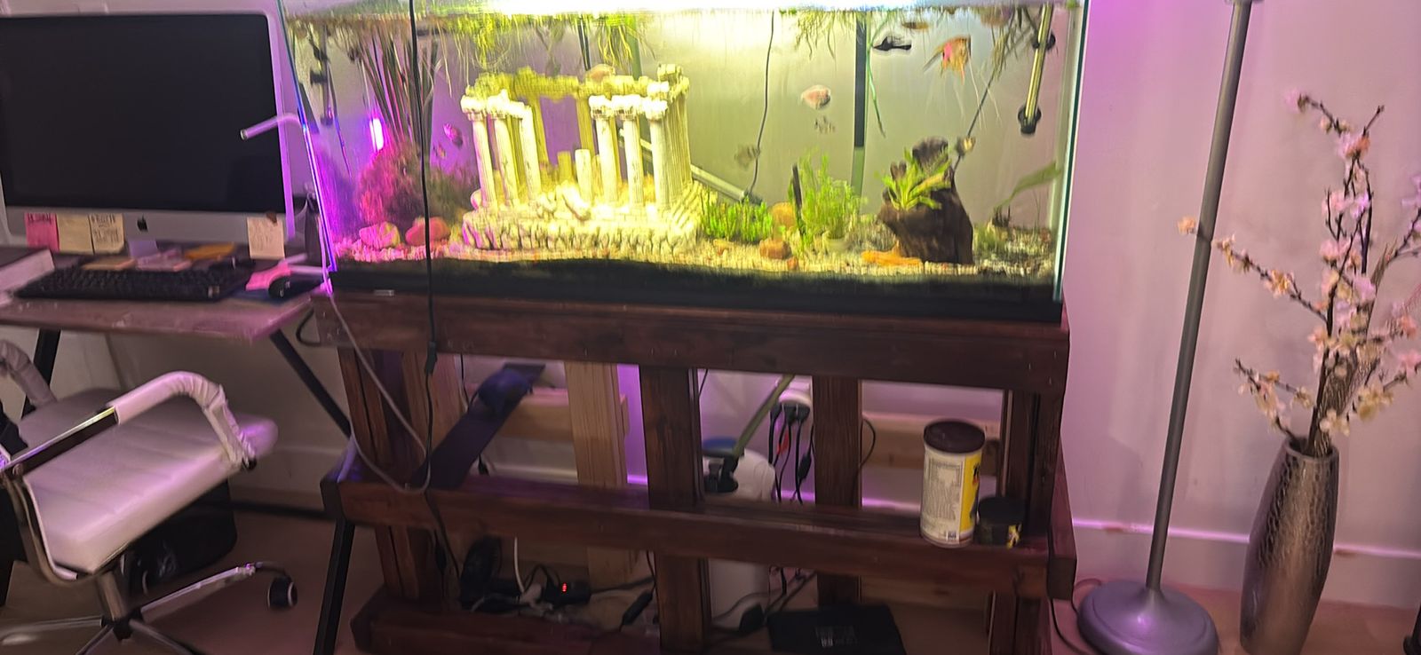 55 Gallon Aquarium For Sale