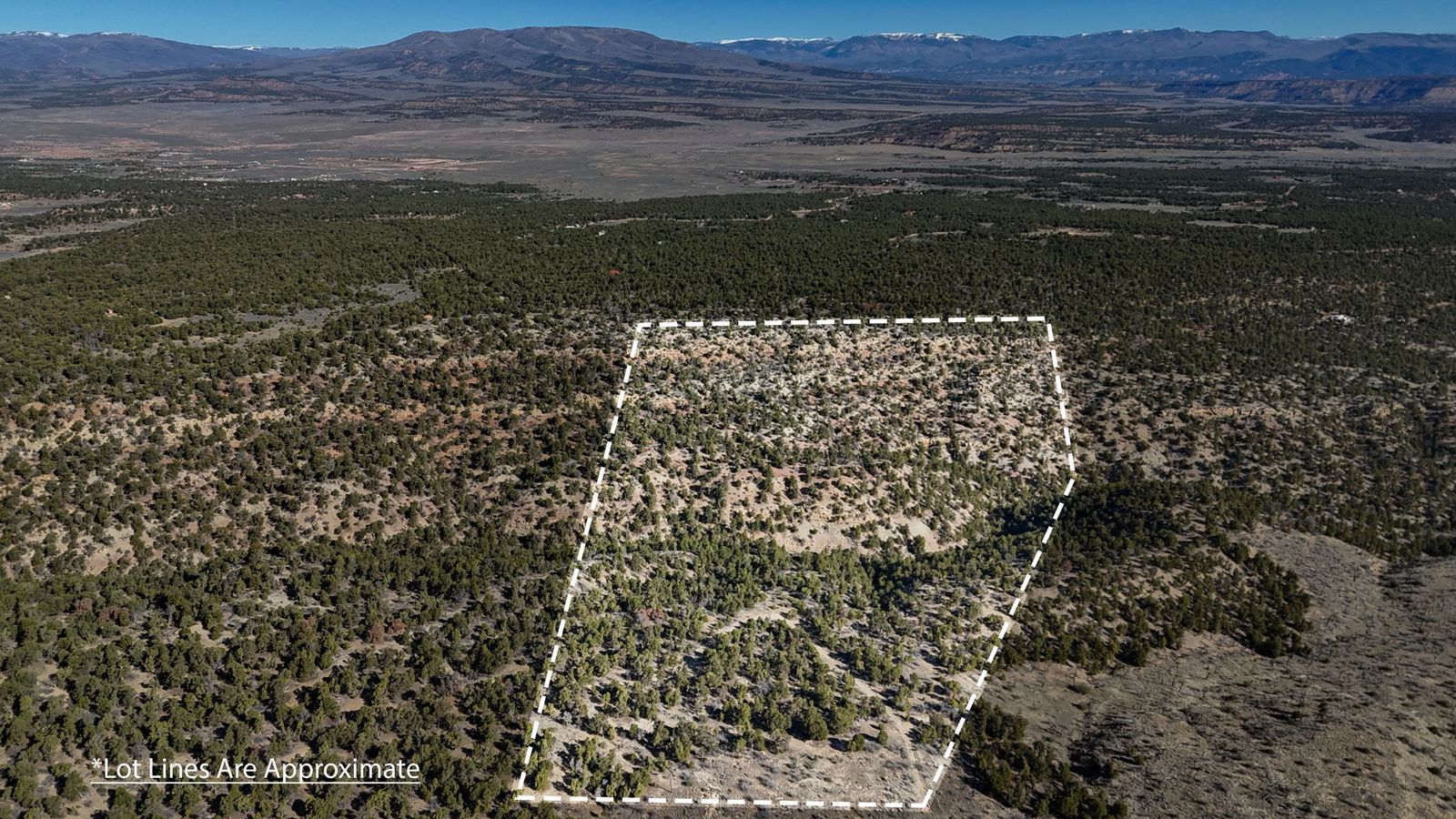 Expansive Mountain Acreage: Privacy and Potential at 8,000 Feet
