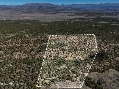 Expansive Mountain Acreage: Privacy and Potential at 8,000 Feet