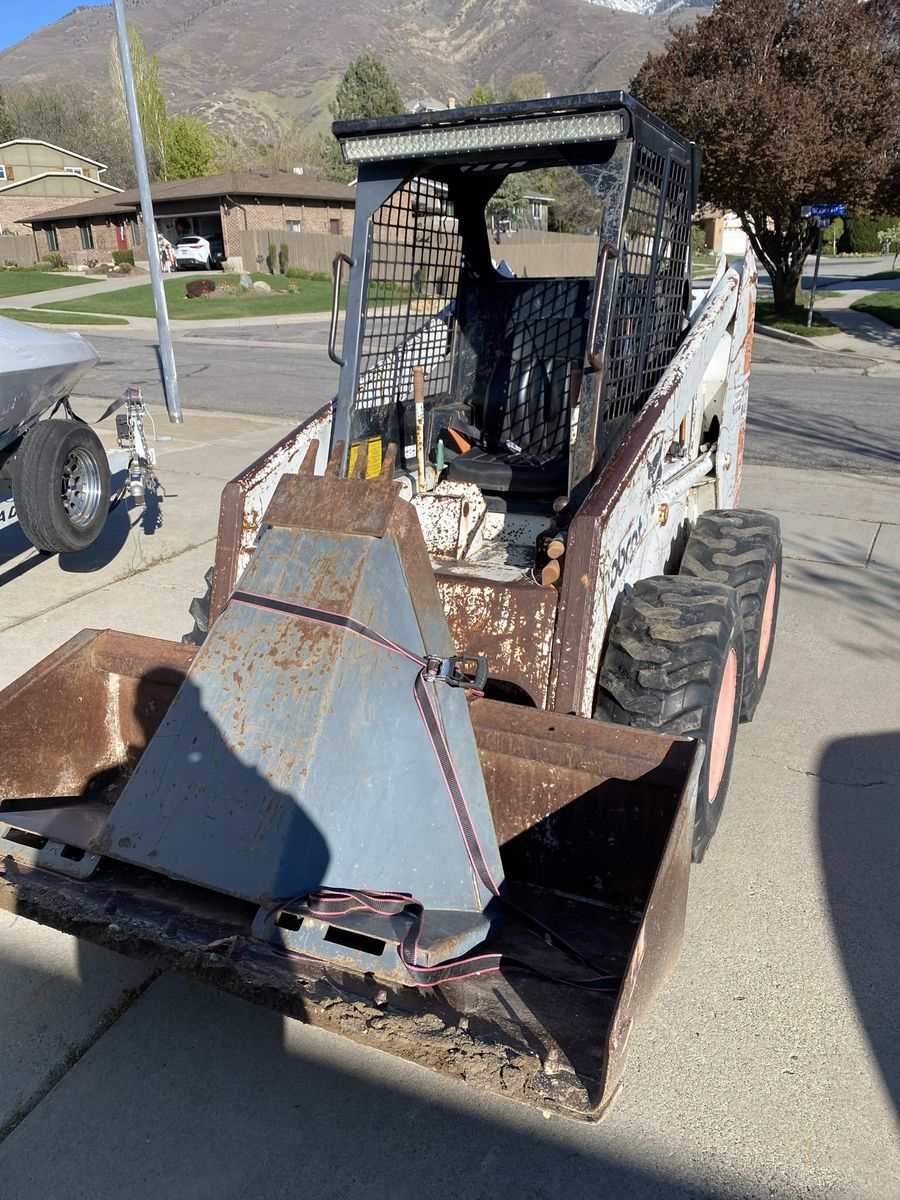 843 Bobcat