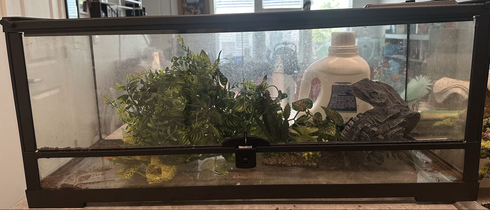 20 gallon reptile terrarium
