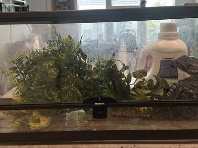 20 gallon reptile terrarium