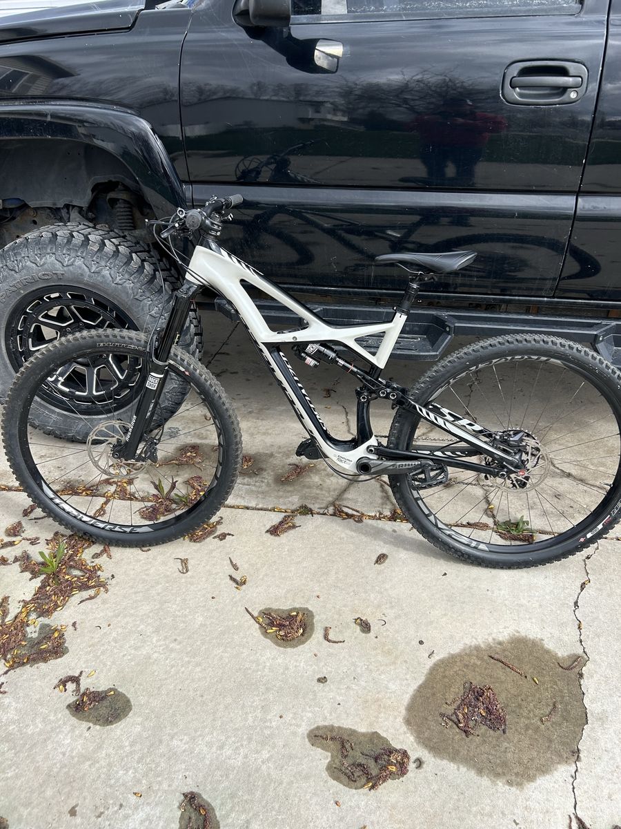 Specialized Enduro large frame