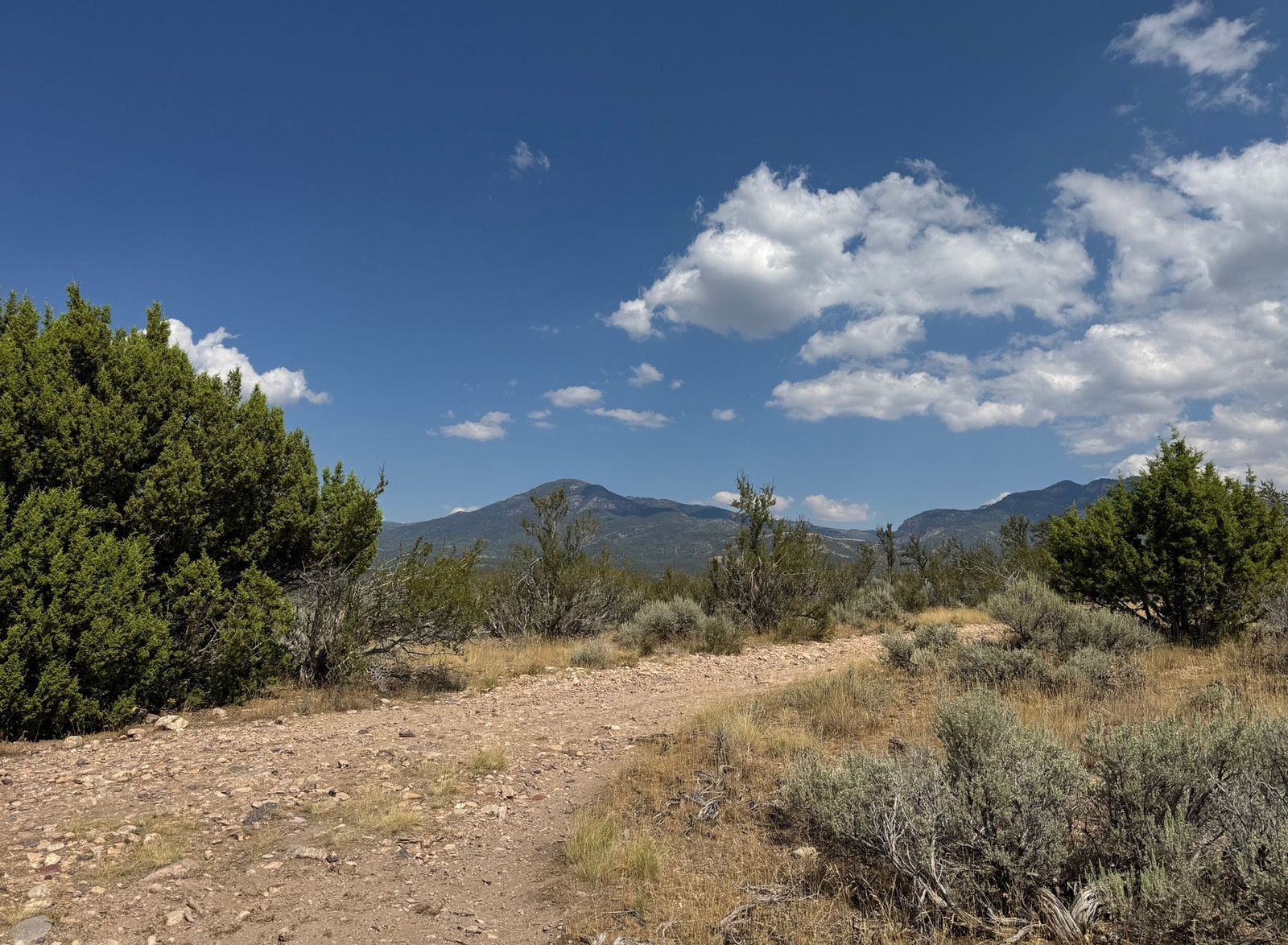 10.09 acres 750 E 800 S Fillmore, UT 84631