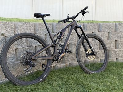 Specialized Stumpjumper Evo Comp S3 (carbon)