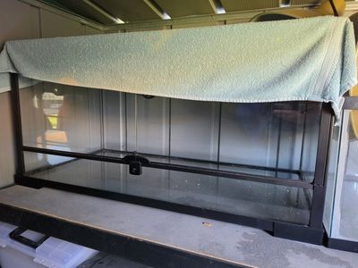 glass aquarium