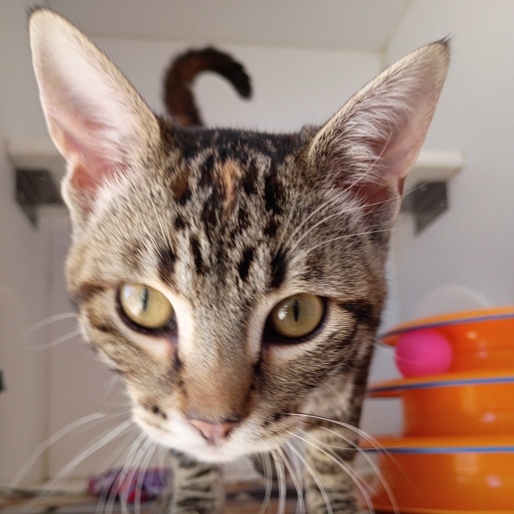 Hello my name is Honey