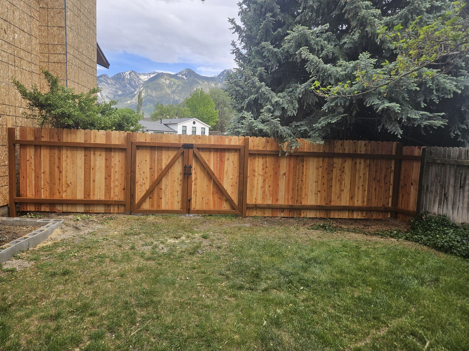 Main image 145