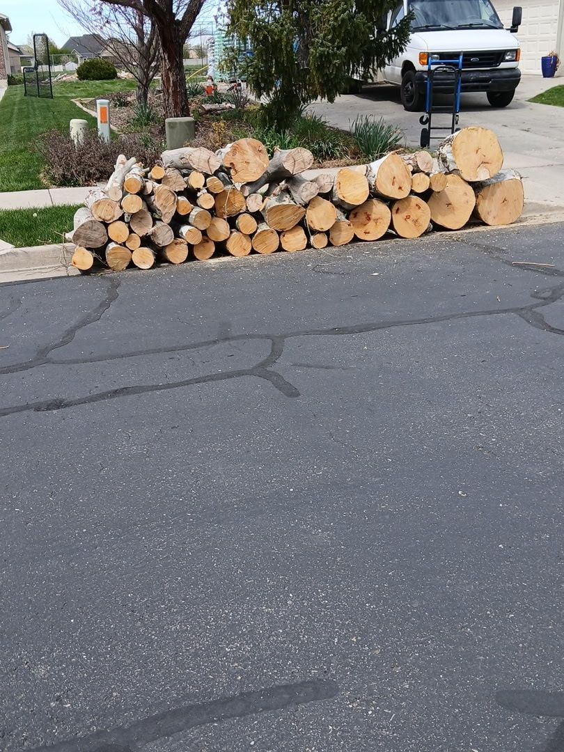 Free dry firewood cut and ready