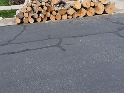 Free dry firewood cut and ready