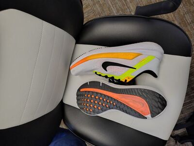 Nike Winflow 10 (Size 10.5)