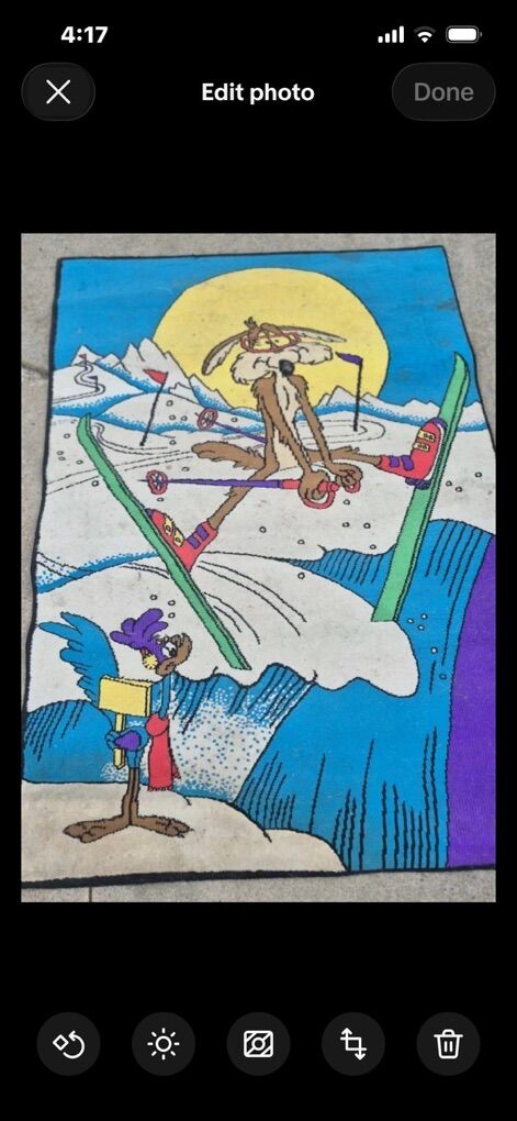 Looney Tunes Vintage Rare Custom Rug Road Runner