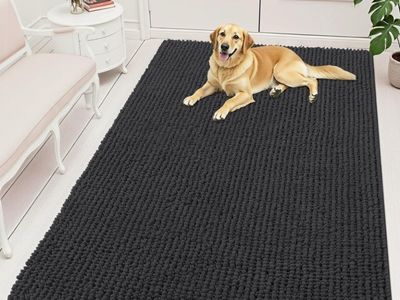Dog Door Mat for Muddy Paws 59x35, Dark Gray