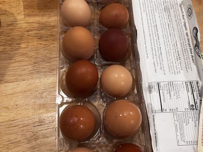 Farm fresh eggs for sale