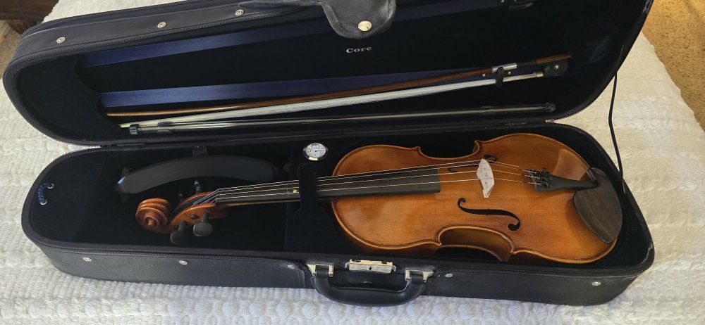 Viola