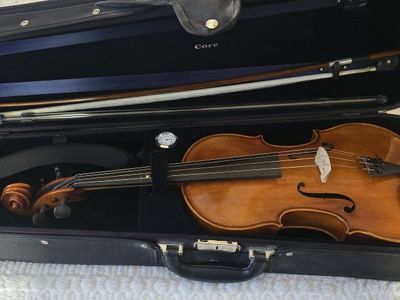 Viola