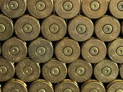 338 Lapua Magnum Brass