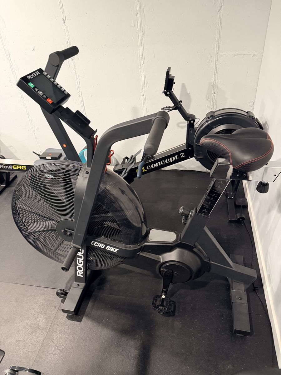 Rogue fitness echo bike