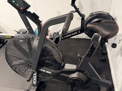 Rogue fitness echo bike