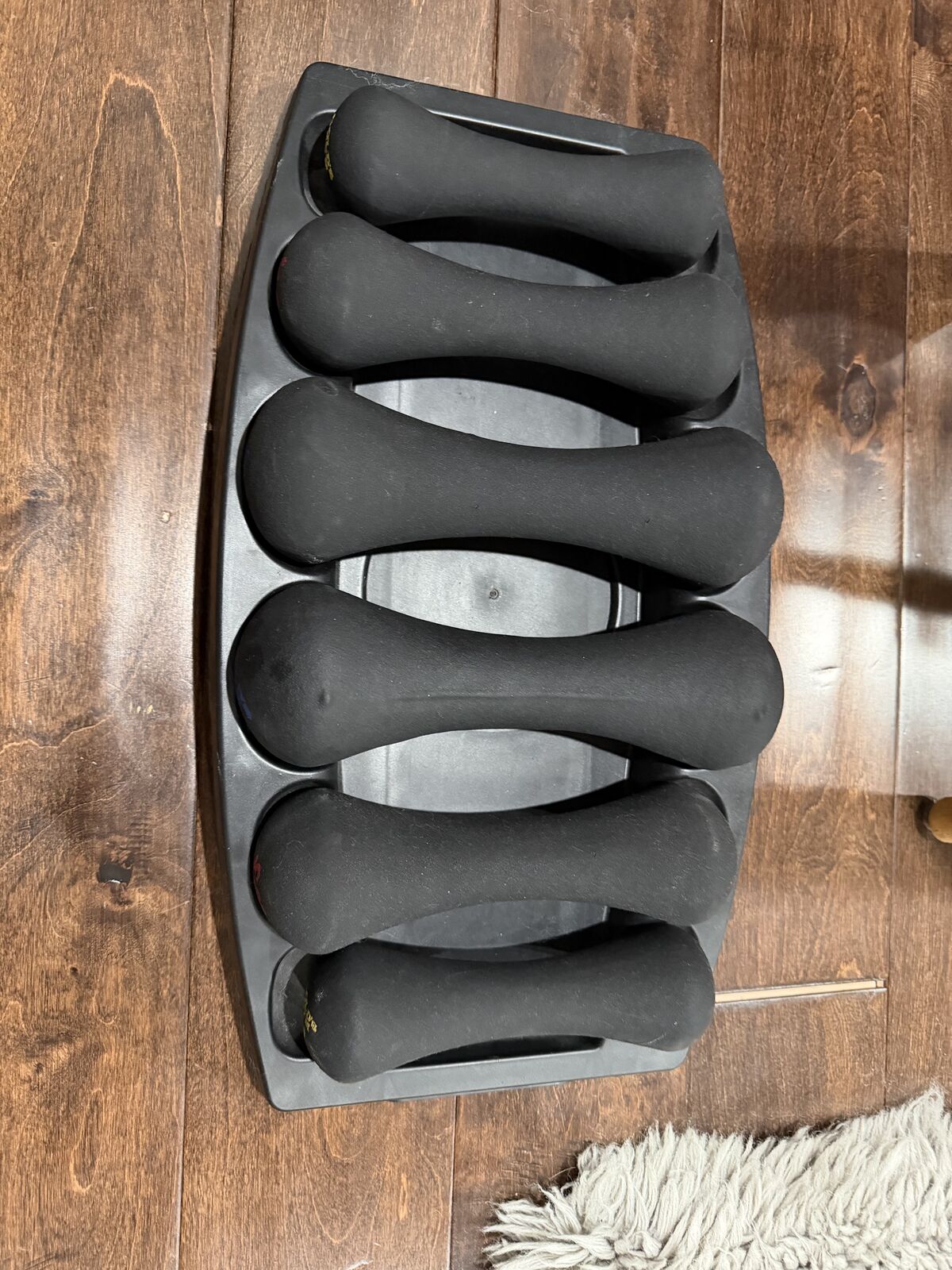 Gold's Gym Weights 3,5,8