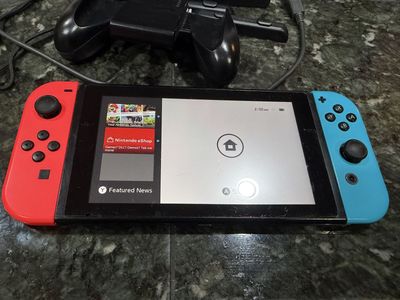 Nintendo SWITCH LITE (others available; Regular, OLED, Animal Crossing)