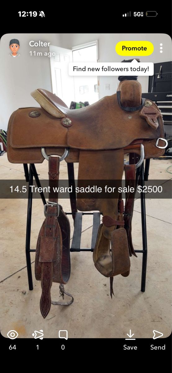 14.5 Trent ward saddle