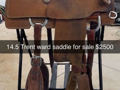 14.5 Trent ward saddle