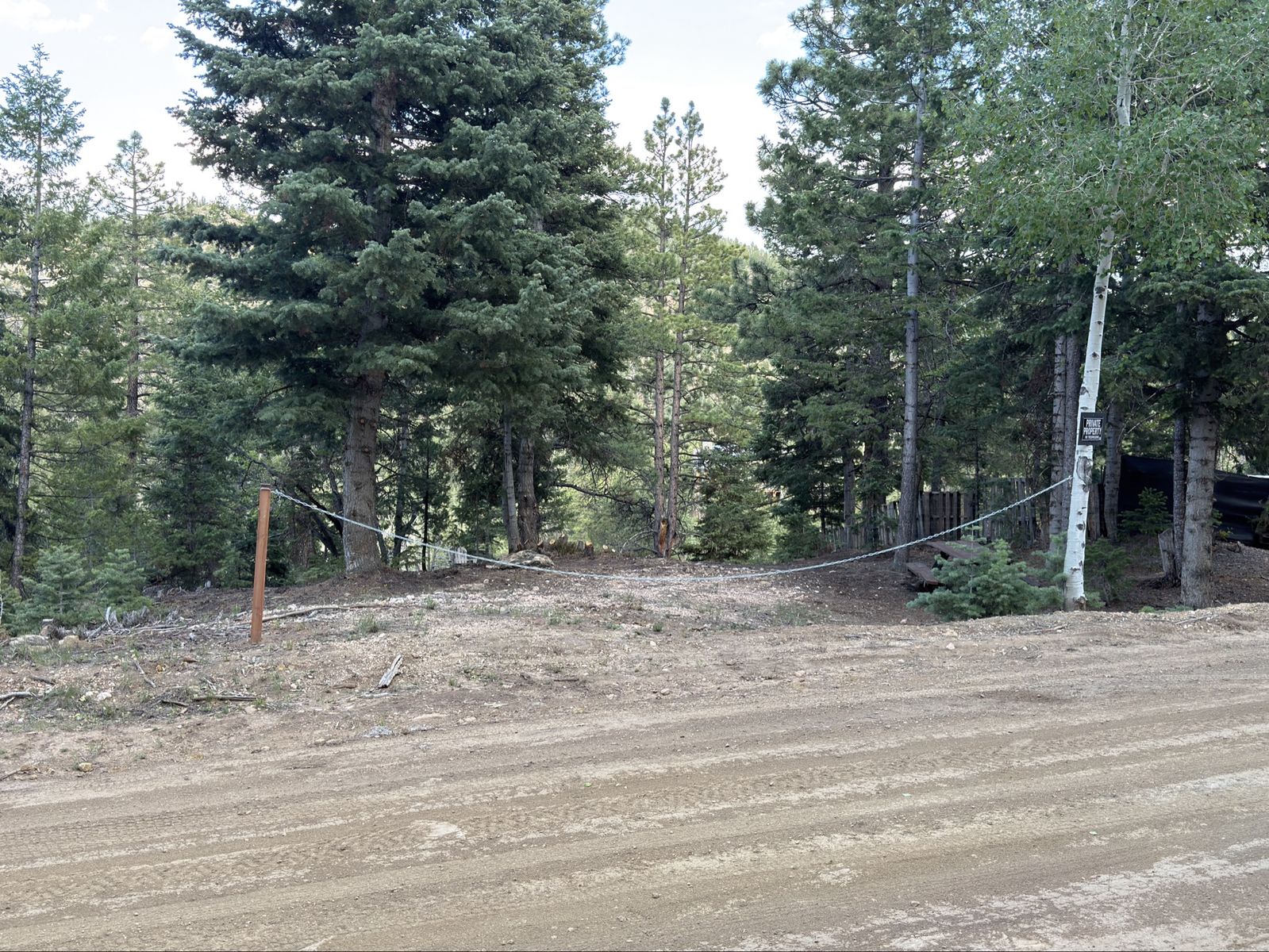 Main image 7