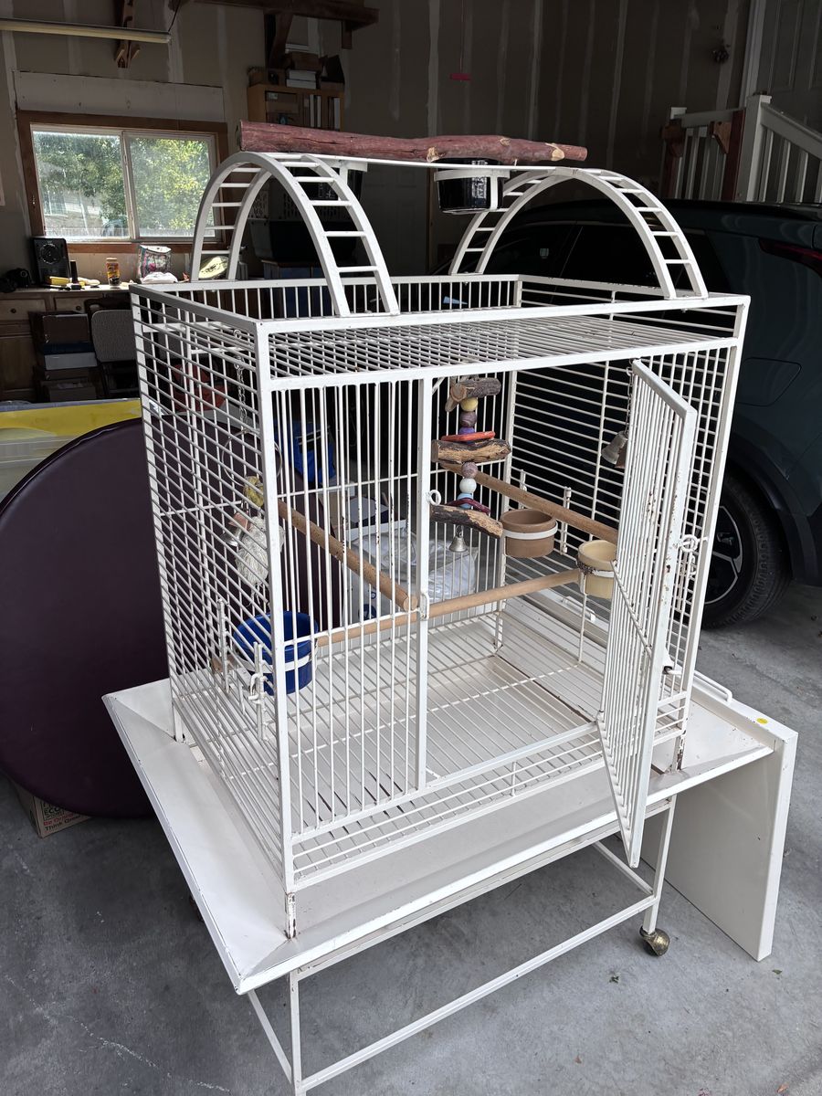 Main image 7