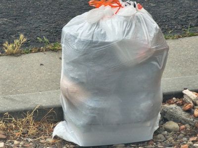 FREE on Halter Creek Way