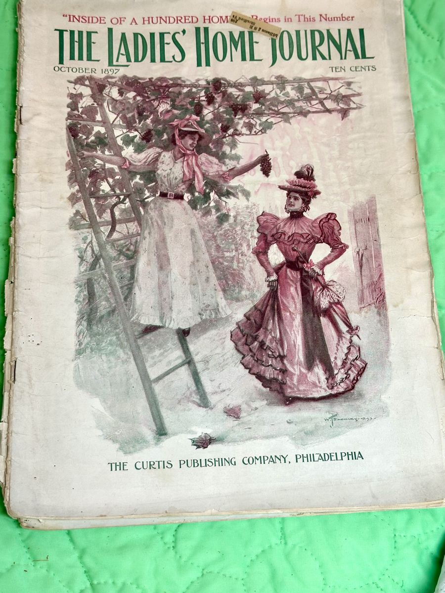 Vintage The Ladies Home Journal Magazine