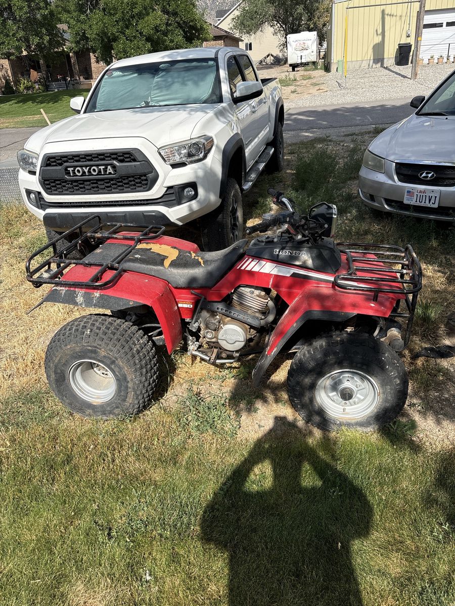 Honda fourtrax 250 for sale