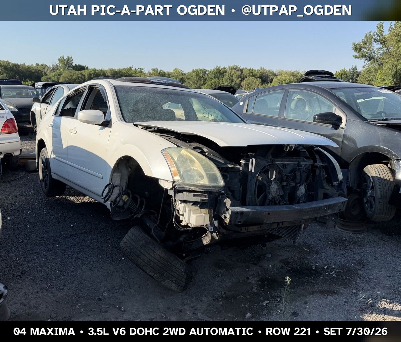 New Arrival - 2004 Nissan Maxima Parts - UTPAP Ogden