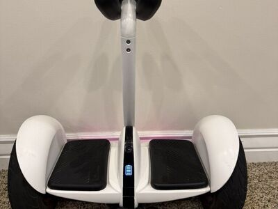 Segway Ninebot S