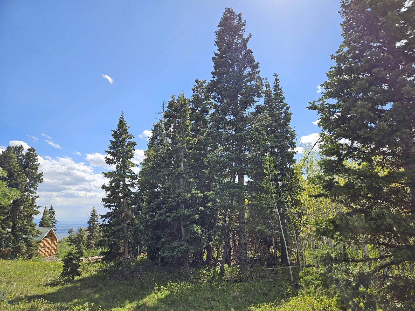 Main image 3