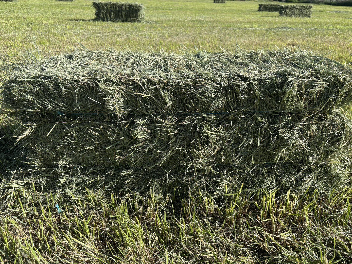 Small Bale Hay