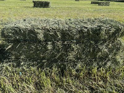 Small Bale Hay