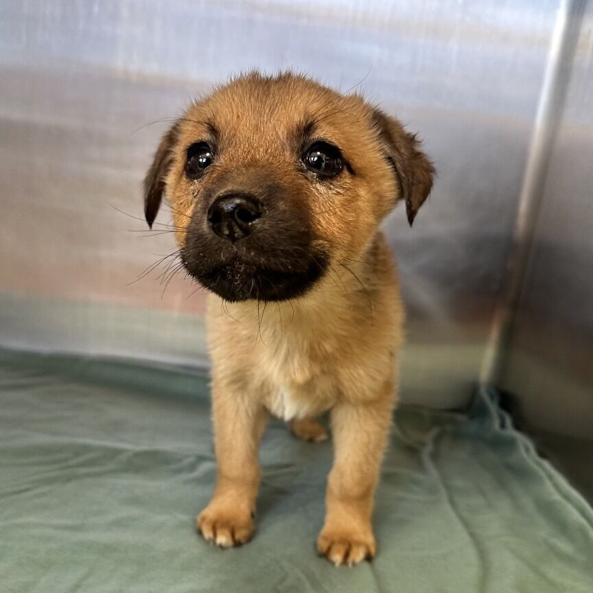 Hello my name is Peter Pan