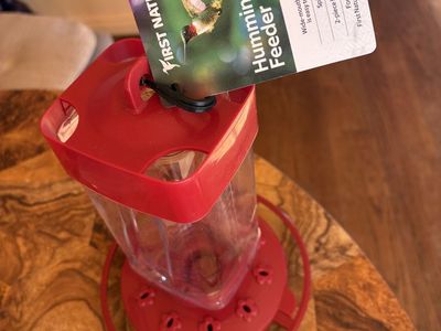 new hummingbird feeders