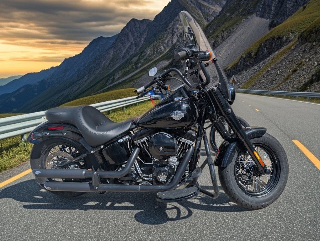 Harley 2016 Softail Slim S