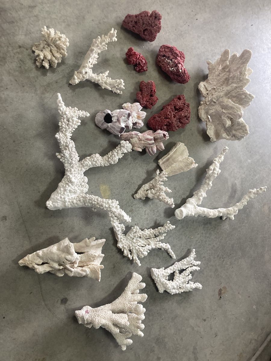 Vintage corals