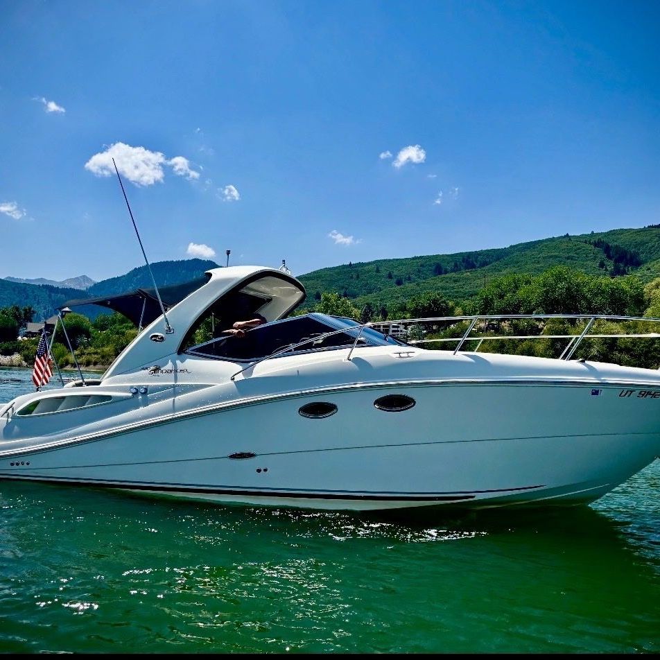 290 Sea Ray Sundancer